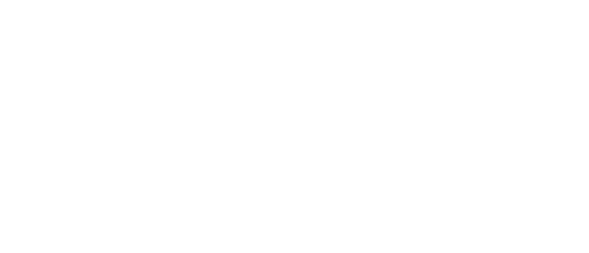 ECO Amortecedores